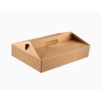 Small carton boxes (5 tablets)