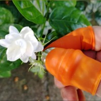 قطاعة أصابع خضروات (1حبة)